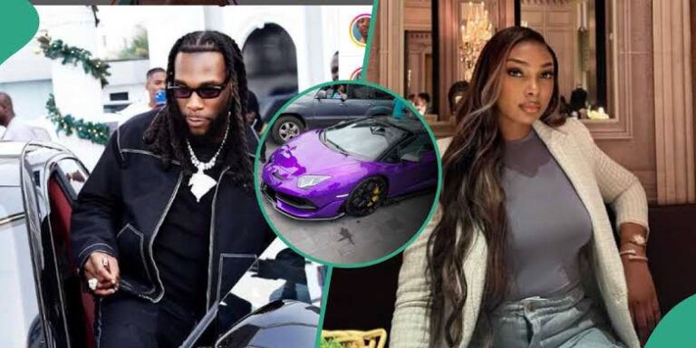 From Promises to Plot Twists: The Burna Boy-Sophie Saga That’s Shaking the Internet 